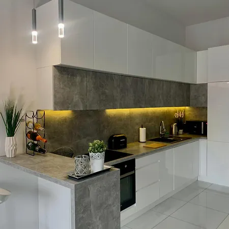 Ekskluzywny Loft Tymienieckiego 아파트 *