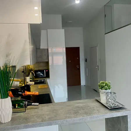 Ekskluzywny Loft Tymienieckiego