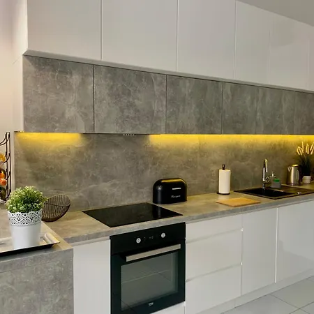 아파트 Ekskluzywny Loft Tymienieckiego *