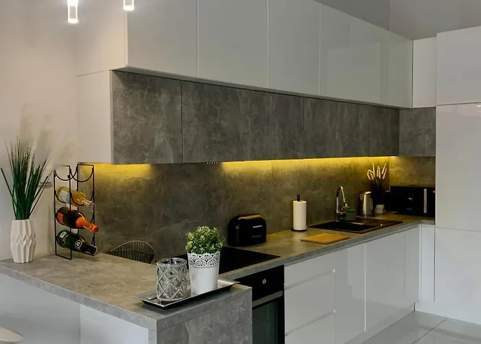 Ekskluzywny Loft Tymienieckiego Apartment *