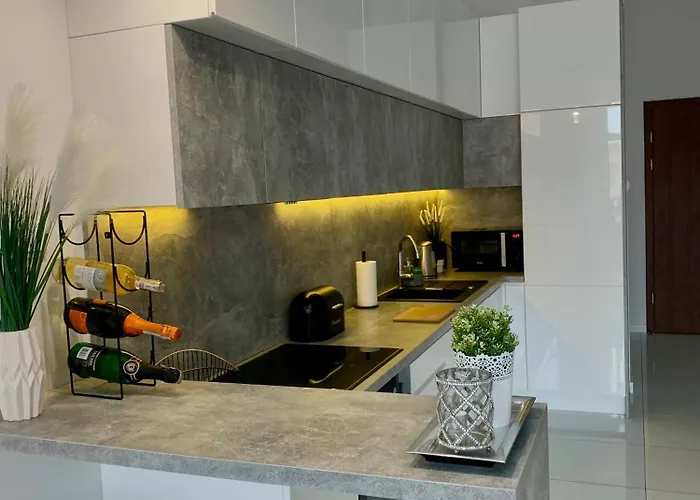 Ekskluzywny Loft Tymienieckiego Apartment *