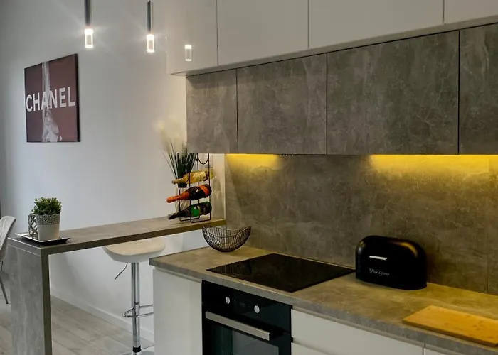 Apartment Ekskluzywny Loft Tymienieckiego *