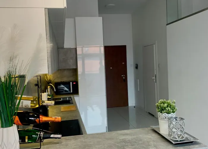 Ekskluzywny Loft Tymienieckiego